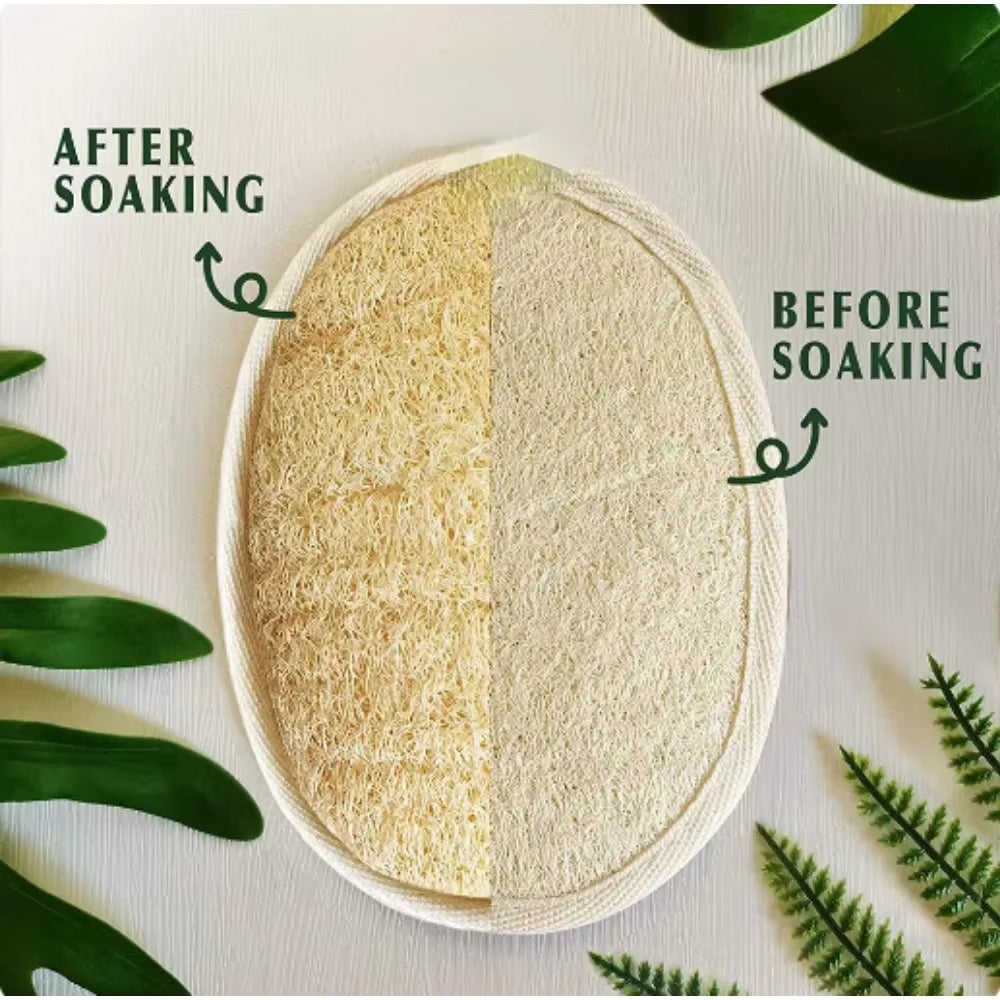 alishop:5283163d2216