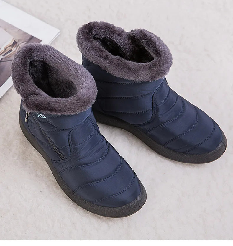 alishop:16f3d4e64c2e