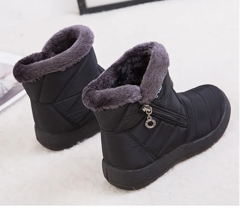 alishop:5fe689768a81