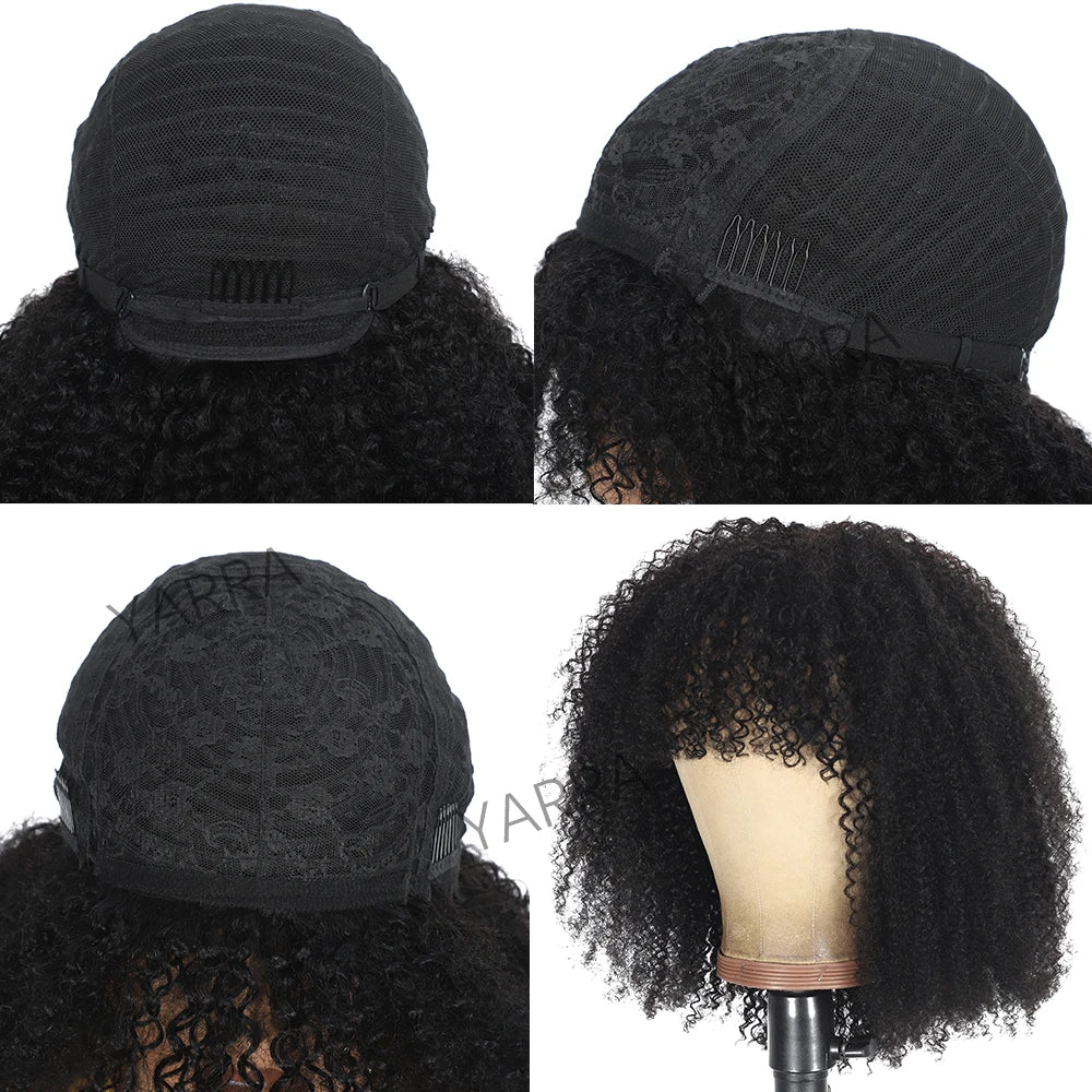 alishop:52d2768f8af4